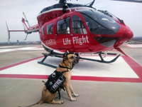 Rio and Life Flight